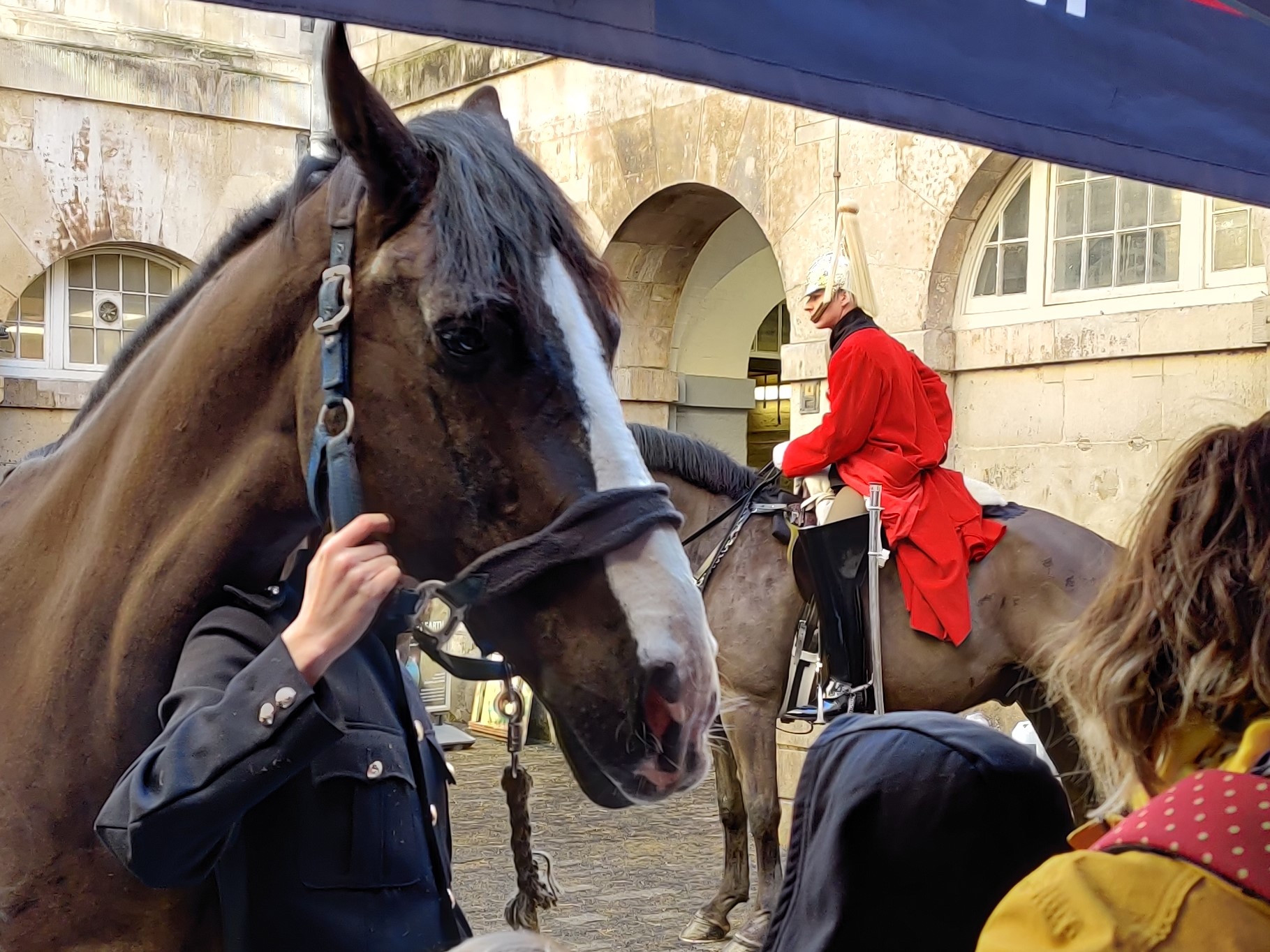 What’s On | The Household Cavalry Museum