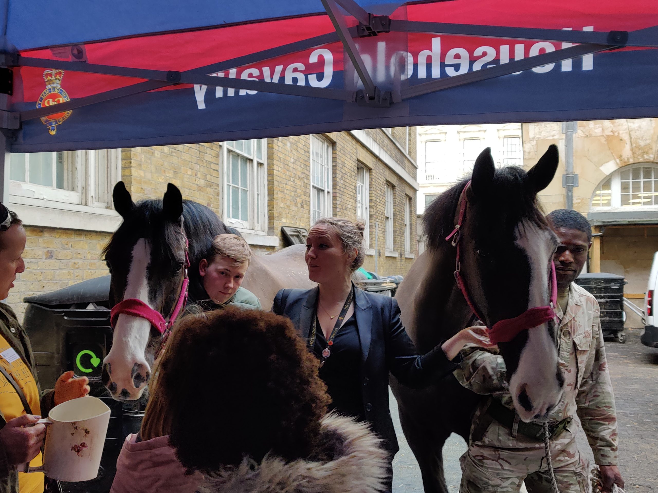 What’s On | The Household Cavalry Museum